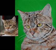 portrait bouille